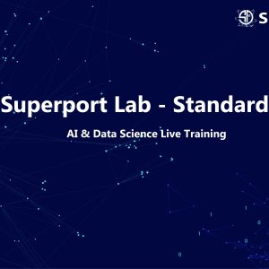 Superport Lab – Standard AI & Data Science Live Training